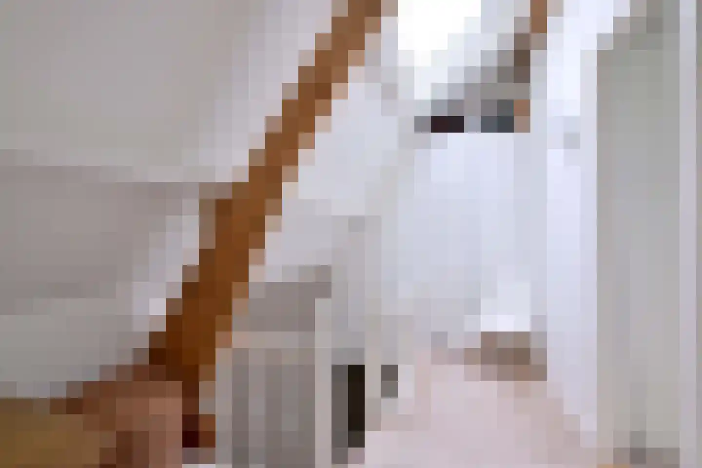 Quatre Brasweg 1 b Eefde thumbnail 22