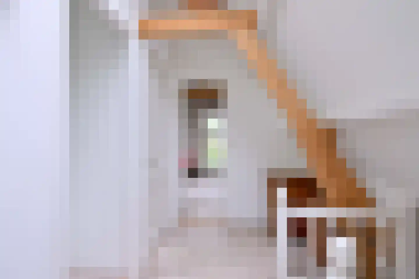 Quatre Brasweg 1 b Eefde thumbnail 27