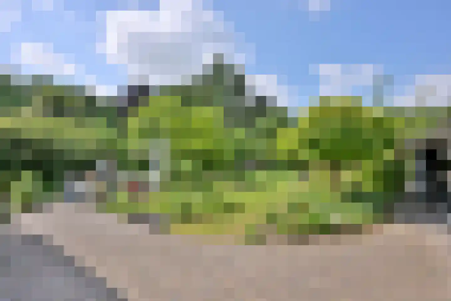 Quatre Brasweg 1 b Eefde foto 3