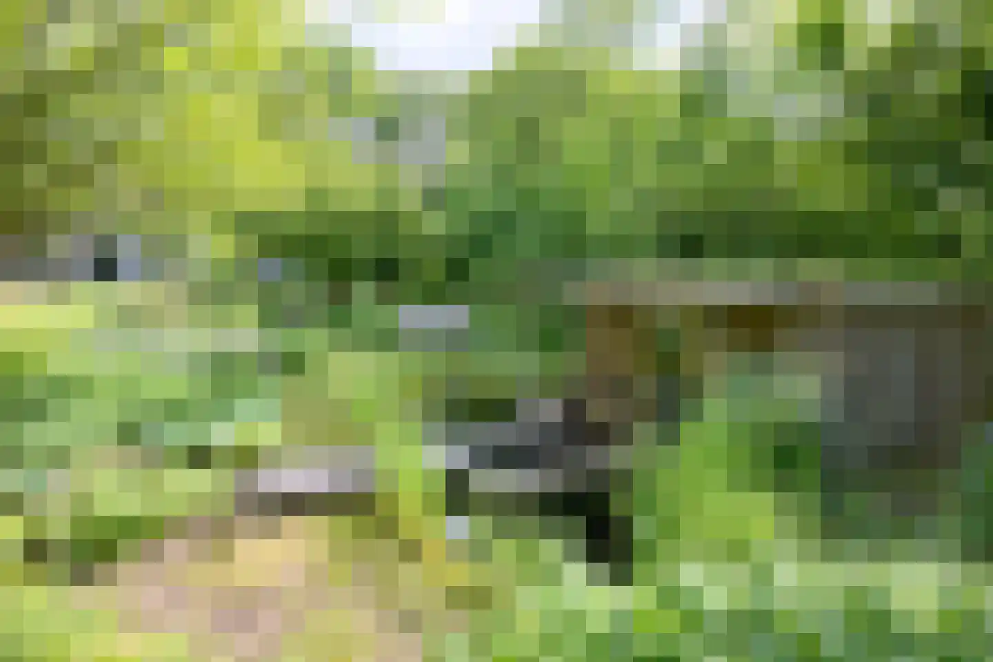 Quatre Brasweg 1 b Eefde thumbnail 33