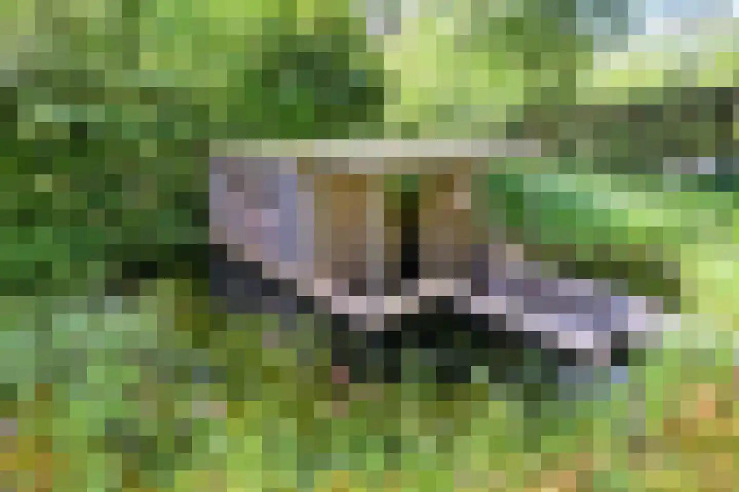 Quatre Brasweg 1 b Eefde thumbnail 34