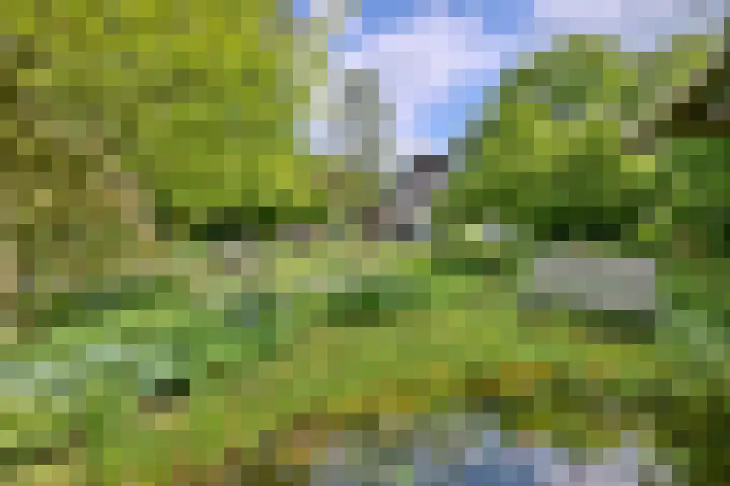 Quatre Brasweg 1 b Eefde thumbnail 36