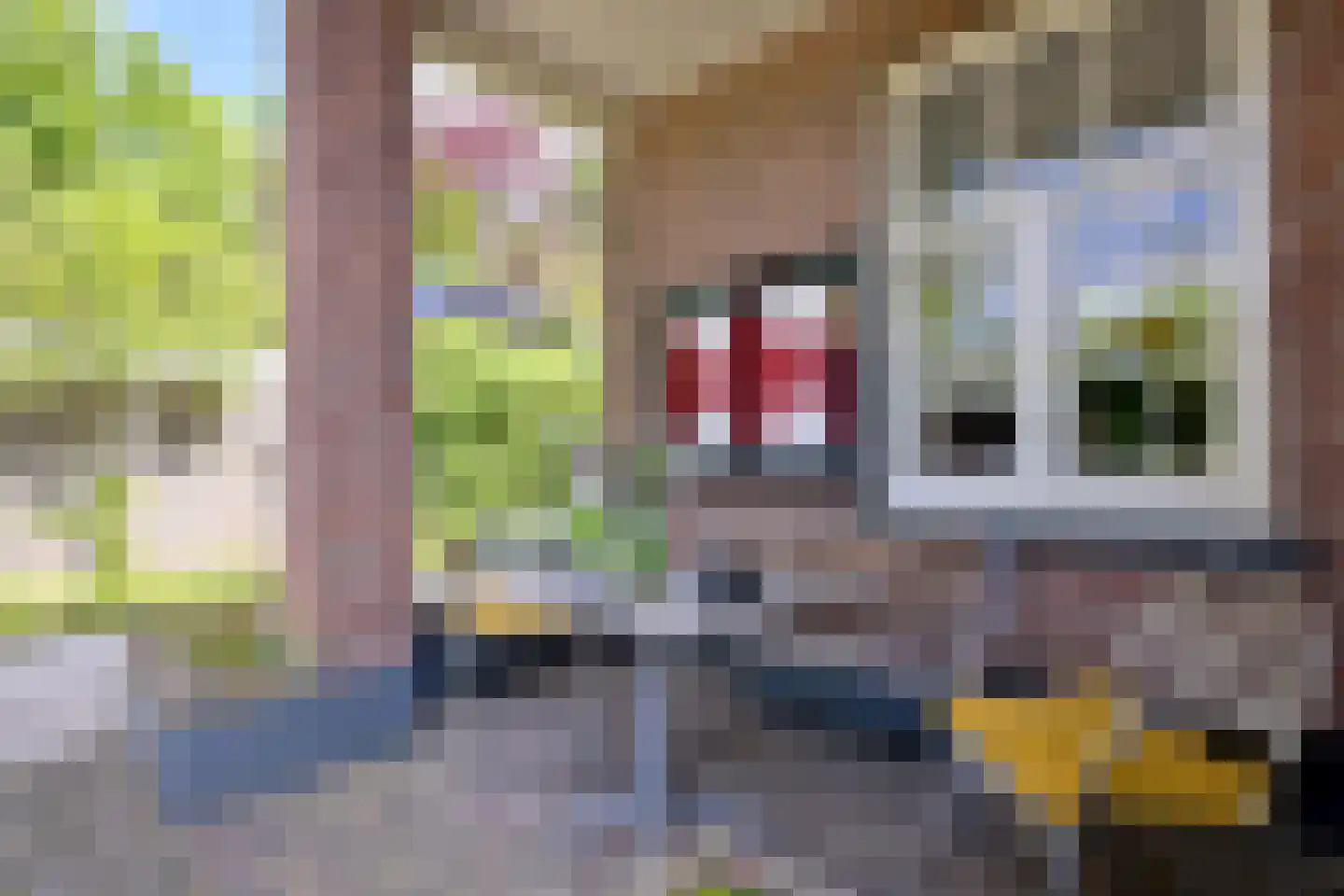 Quatre Brasweg 1 b Eefde thumbnail 38