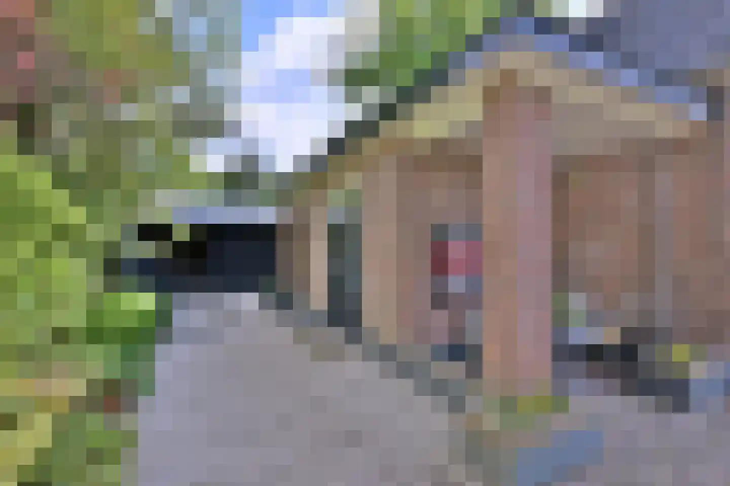 Quatre Brasweg 1 b Eefde thumbnail 39