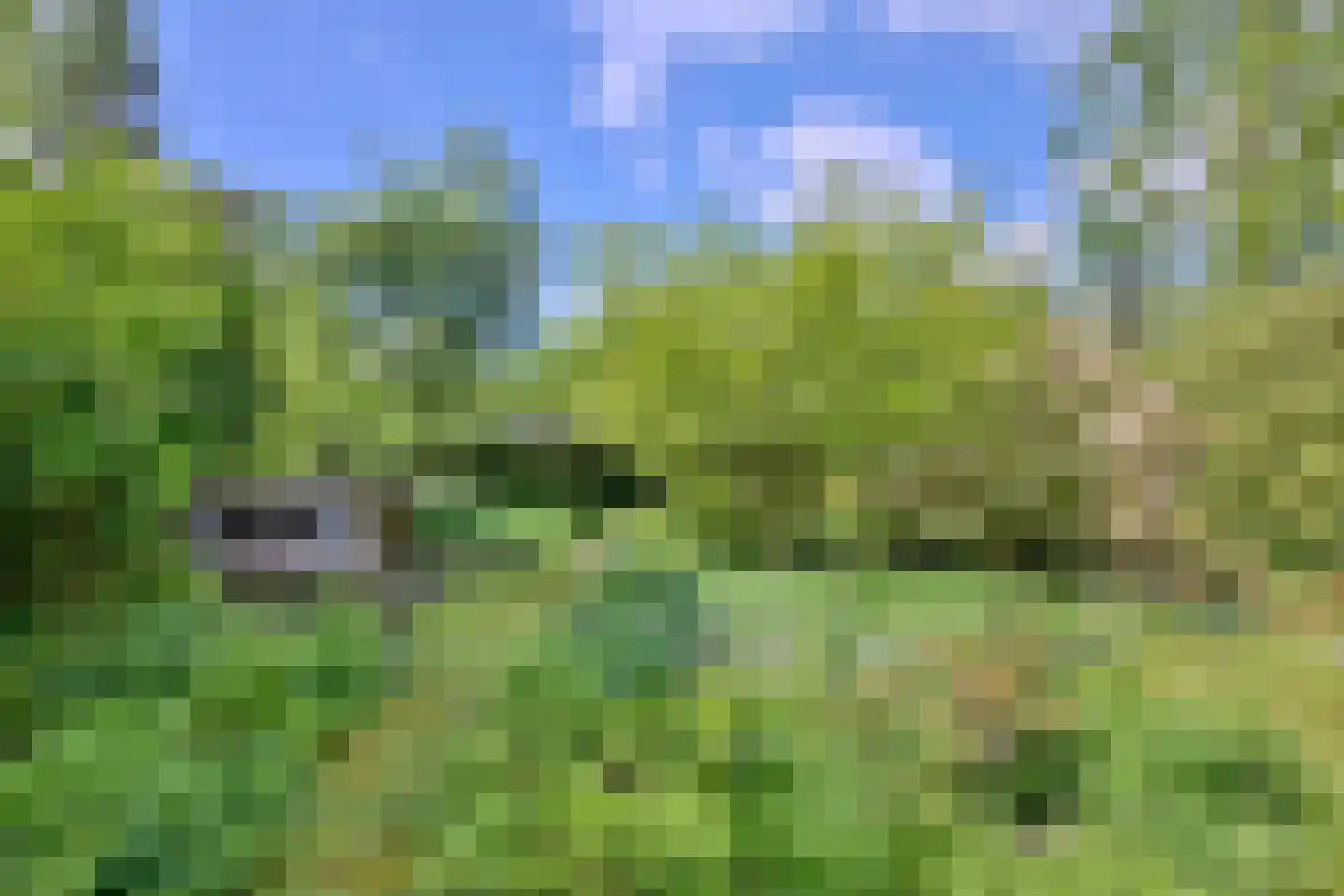 Quatre Brasweg 1 b Eefde thumbnail 4