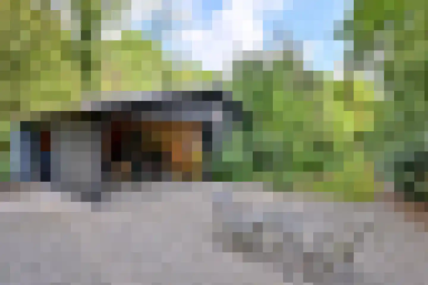 Quatre Brasweg 1 b Eefde thumbnail 41