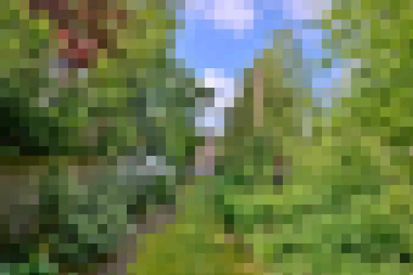 Quatre Brasweg 1 b Eefde thumbnail 42