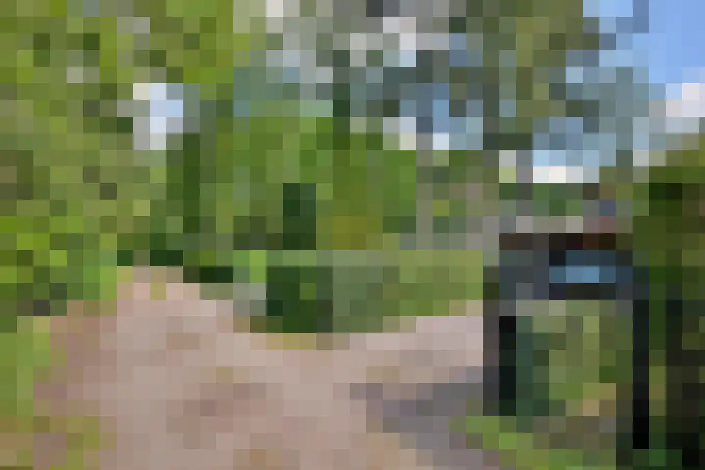 Quatre Brasweg 1 b Eefde thumbnail 47