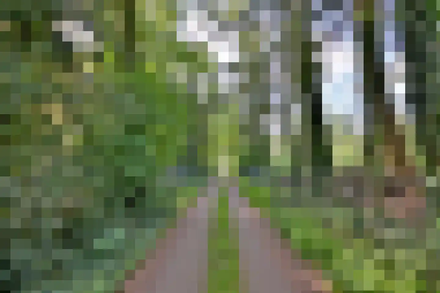 Quatre Brasweg 1 b Eefde thumbnail 48