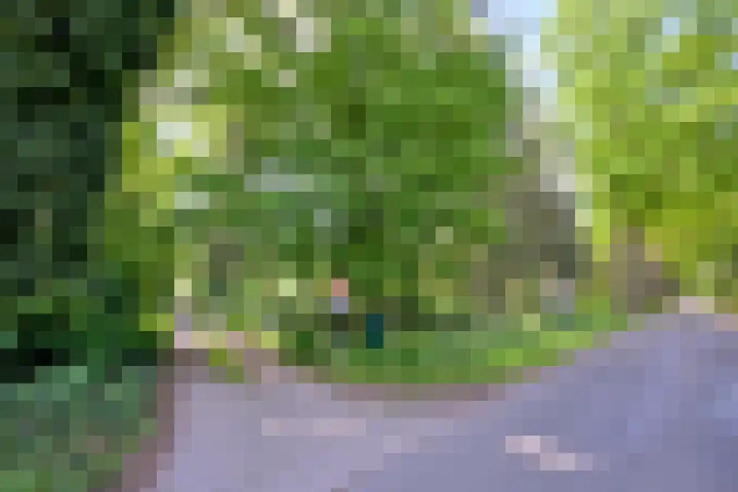 Quatre Brasweg 1 b Eefde thumbnail 49
