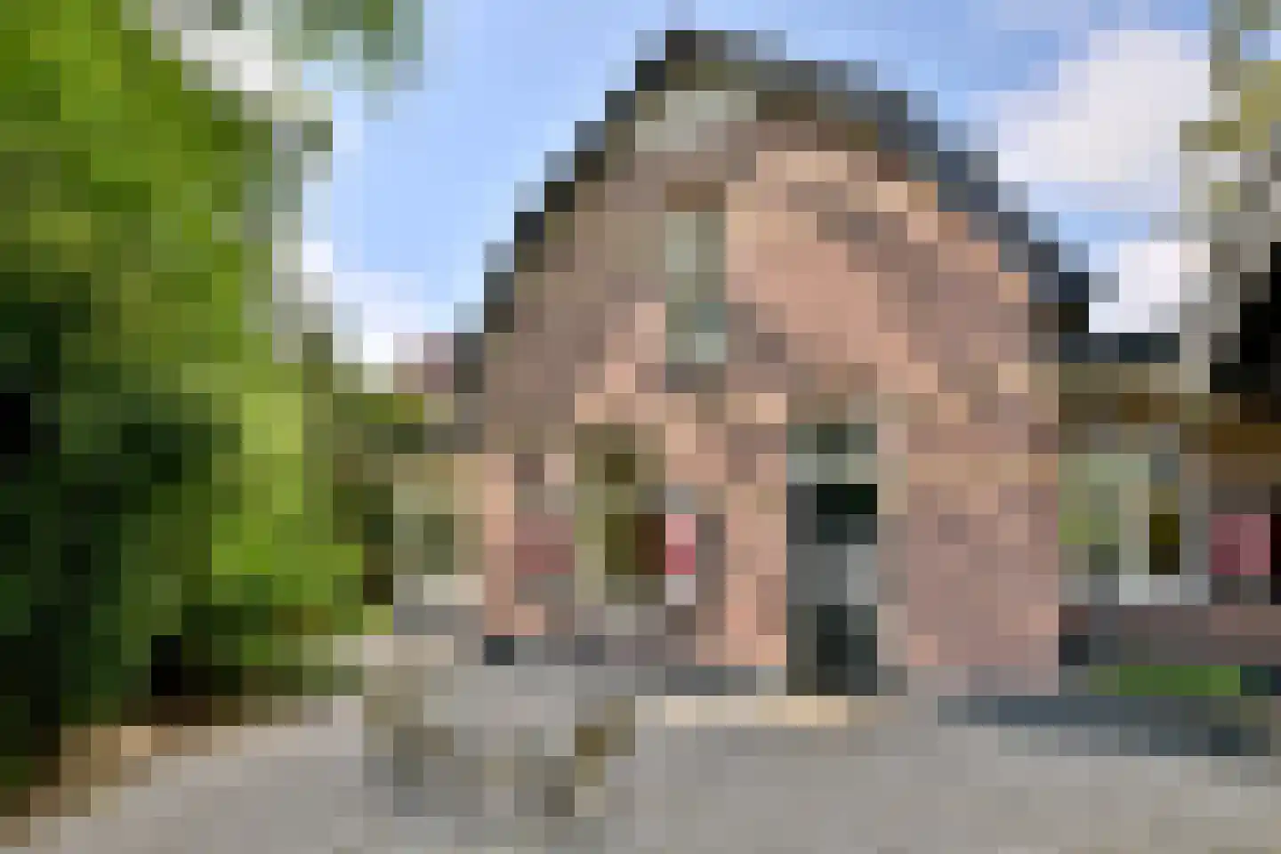 Quatre Brasweg 1 b Eefde thumbnail 6