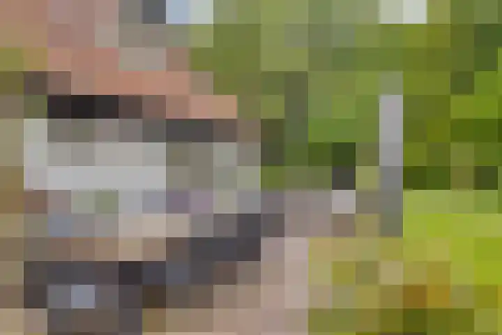 Quatre Brasweg 20 Gorssel thumbnail 10