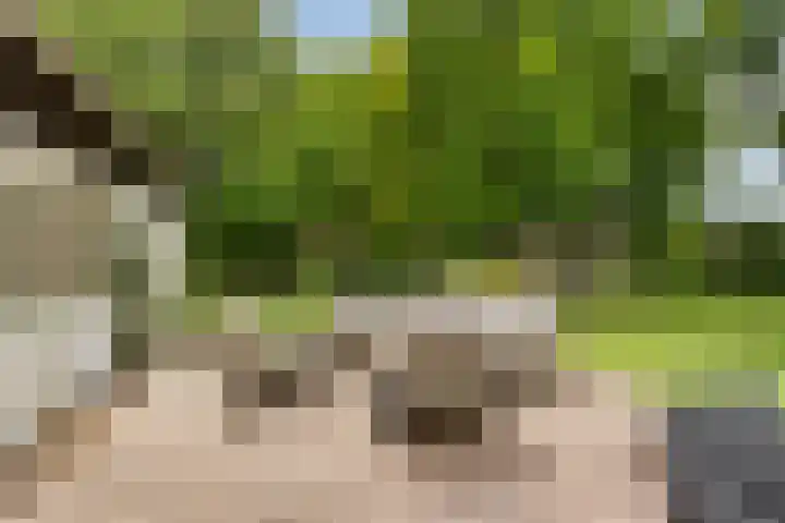 Quatre Brasweg 20 Gorssel thumbnail 11
