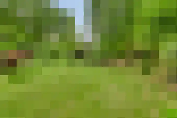 Quatre Brasweg 20 Gorssel thumbnail 13