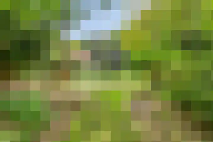 Quatre Brasweg 20 Gorssel thumbnail 14