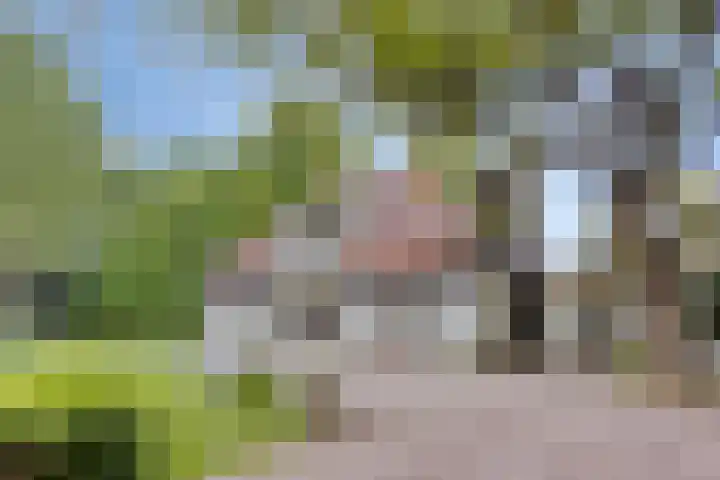 Quatre Brasweg 20 Gorssel thumbnail 15