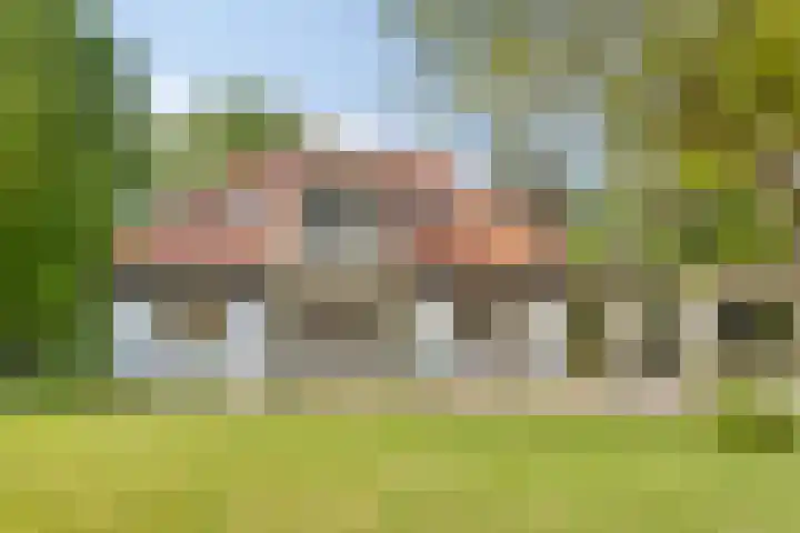 Quatre Brasweg 20 Gorssel thumbnail 16