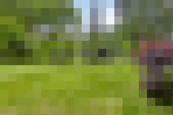Quatre Brasweg 20 Gorssel thumbnail 17