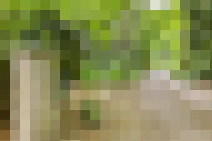 Quatre Brasweg 20 Gorssel thumbnail 18