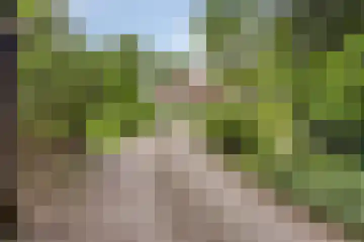 Quatre Brasweg 20 Gorssel thumbnail 19