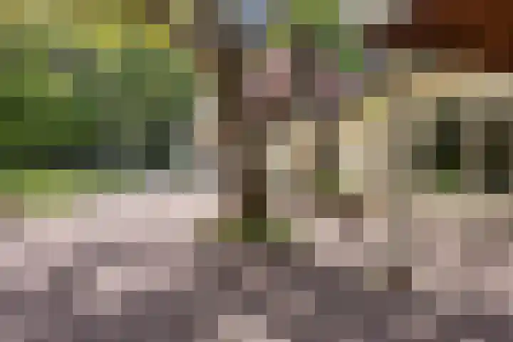 Quatre Brasweg 20 Gorssel thumbnail 21