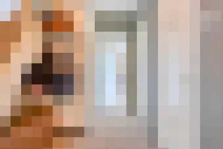 Quatre Brasweg 20 Gorssel thumbnail 26