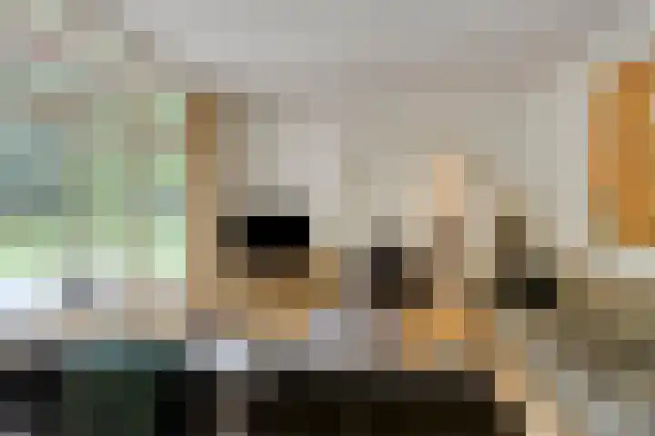 Quatre Brasweg 20 Gorssel thumbnail 30