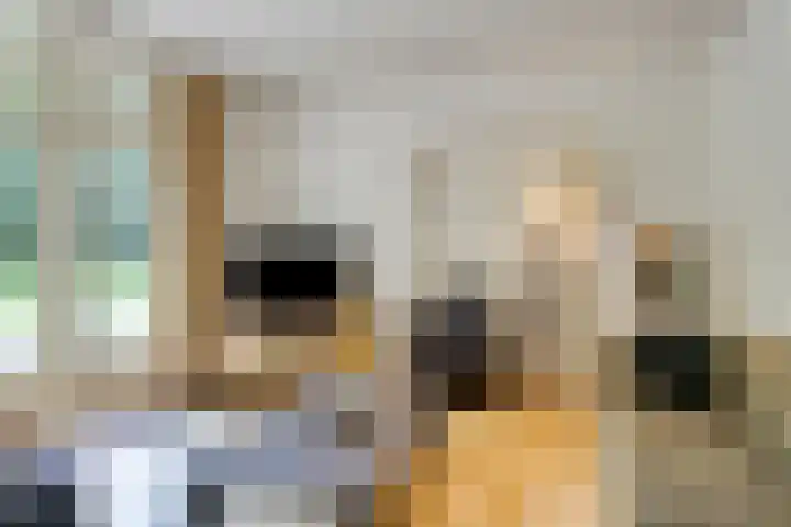 Quatre Brasweg 20 Gorssel thumbnail 31