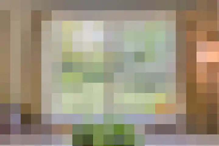 Quatre Brasweg 20 Gorssel thumbnail 36