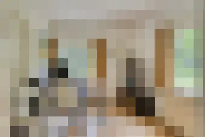 Quatre Brasweg 20 Gorssel thumbnail 39