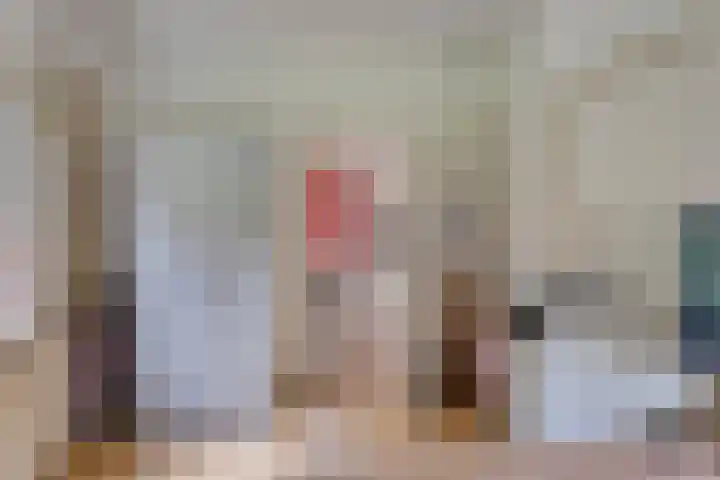 Quatre Brasweg 20 Gorssel thumbnail 40