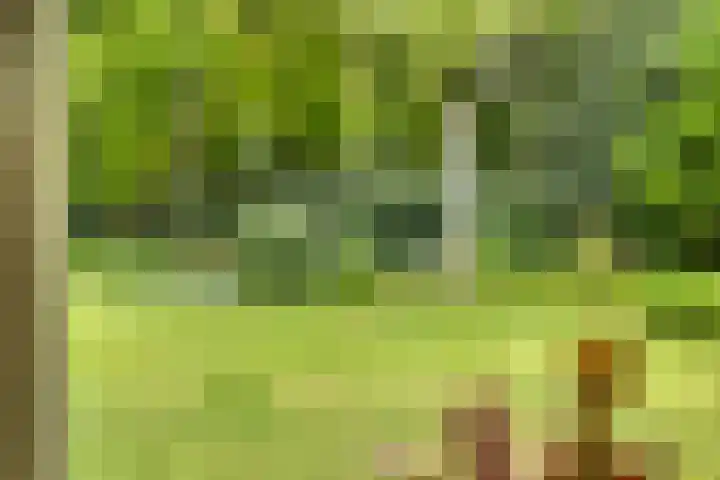 Quatre Brasweg 20 Gorssel thumbnail 41