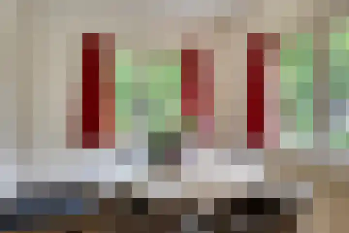 Quatre Brasweg 20 Gorssel thumbnail 43