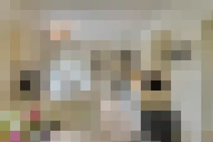 Quatre Brasweg 20 Gorssel thumbnail 44