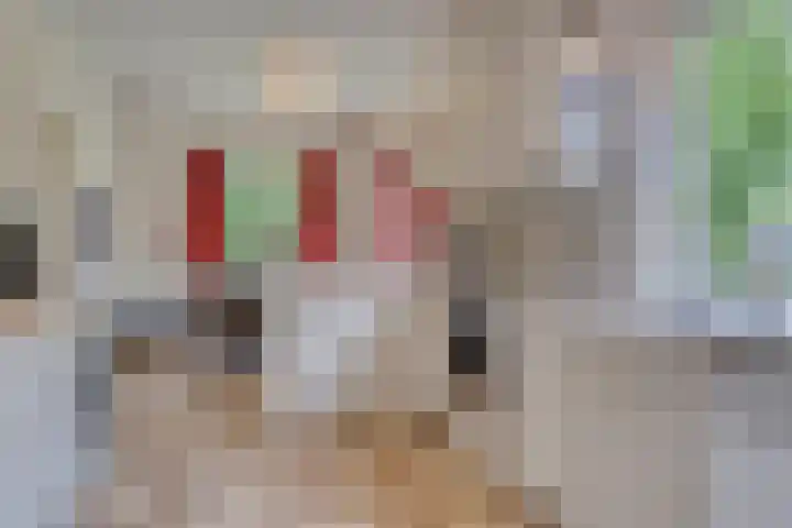 Quatre Brasweg 20 Gorssel thumbnail 45