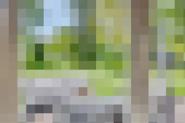 Quatre Brasweg 20 Gorssel thumbnail 46