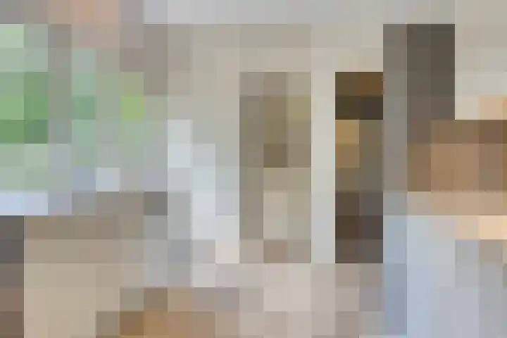 Quatre Brasweg 20 Gorssel thumbnail 47