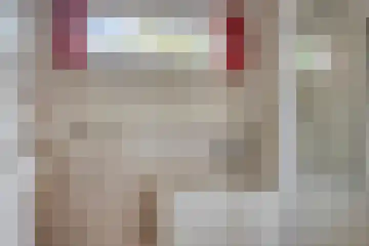 Quatre Brasweg 20 Gorssel thumbnail 51