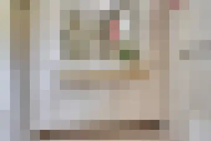 Quatre Brasweg 20 Gorssel thumbnail 53