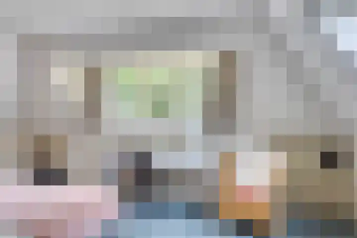 Quatre Brasweg 20 Gorssel thumbnail 55