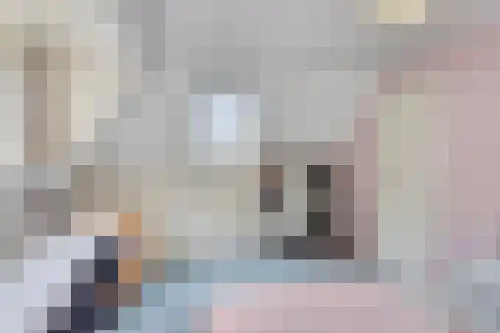 Quatre Brasweg 20 Gorssel thumbnail 57