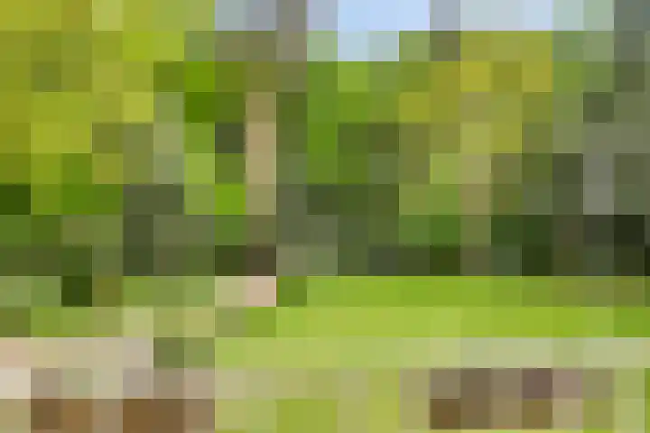 Quatre Brasweg 20 Gorssel thumbnail 59