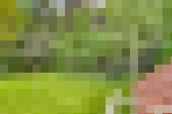 Quatre Brasweg 20 Gorssel thumbnail 60
