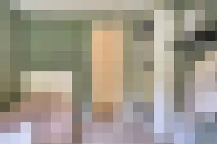 Quatre Brasweg 20 Gorssel thumbnail 61