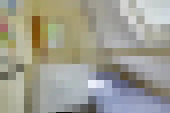 Quatre Brasweg 20 Gorssel thumbnail 62