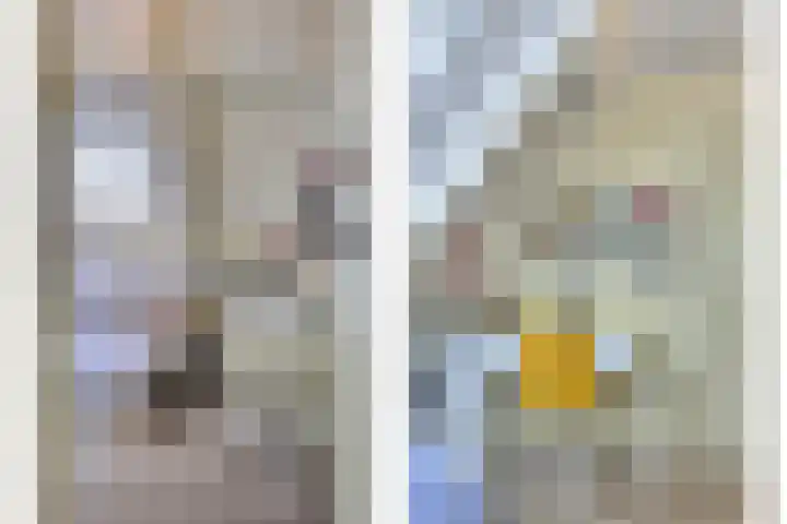 Quatre Brasweg 20 Gorssel thumbnail 63