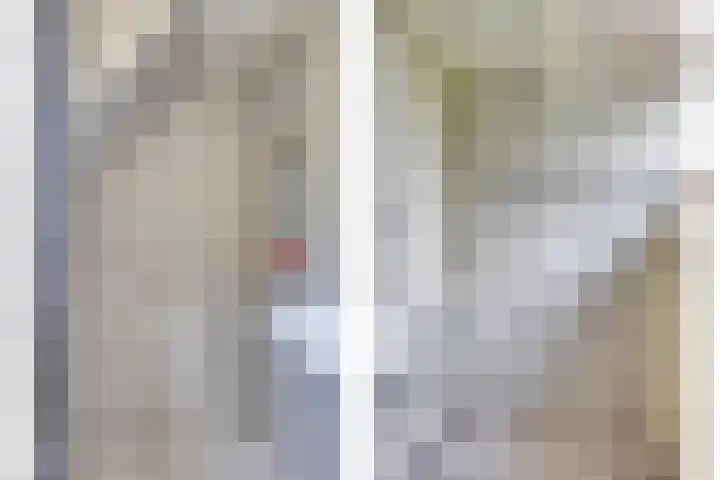 Quatre Brasweg 20 Gorssel thumbnail 64