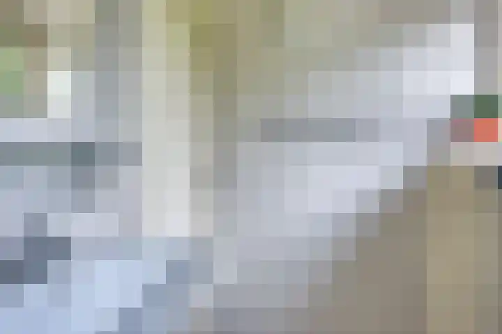 Quatre Brasweg 20 Gorssel thumbnail 65