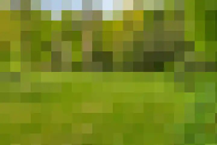 Quatre Brasweg 20 Gorssel thumbnail 69
