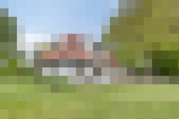 Quatre Brasweg 20 Gorssel thumbnail 7